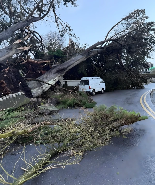 Post-Storm Emergency