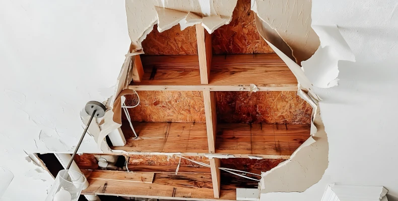 property maintenance