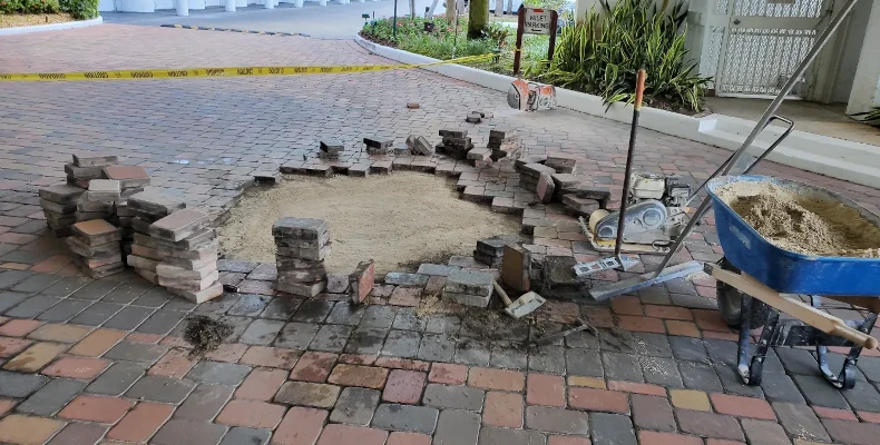 Property Maintenance